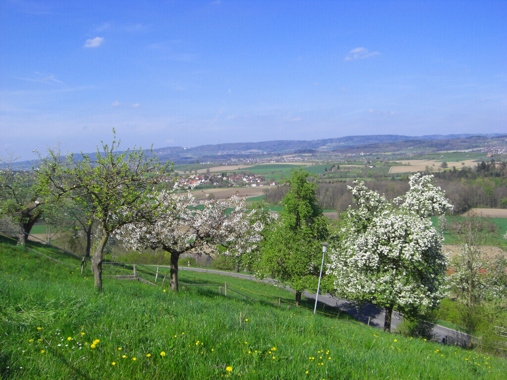 Bilder Gasthof "Grüner Berg" - Familie Wengle-Reußner
