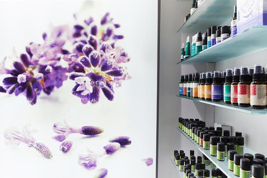 Bilder Apotheke zum Löwen