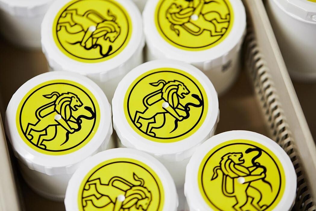 Bilder Apotheke zum Löwen