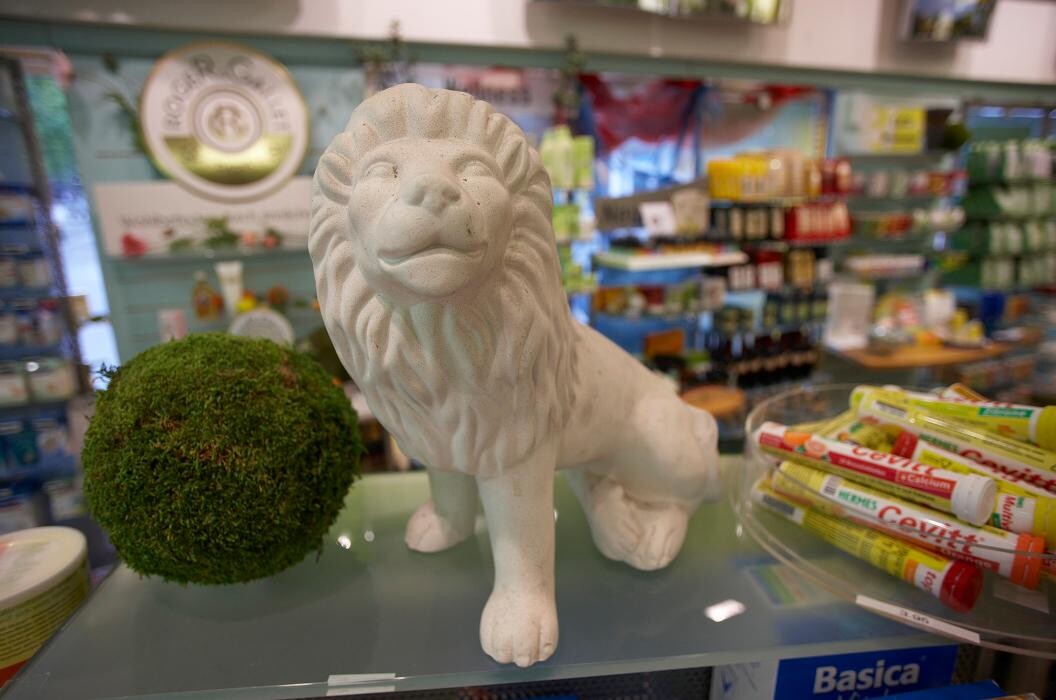 Bilder Apotheke zum Löwen