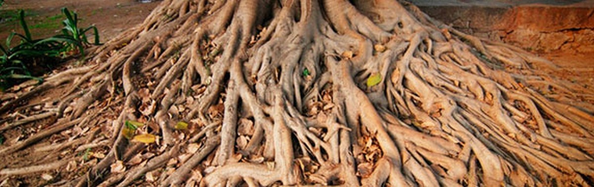 Bilder Dr. med. dent. Christoph Loreth