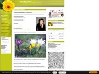 Website Screenshot Stadt Apotheke