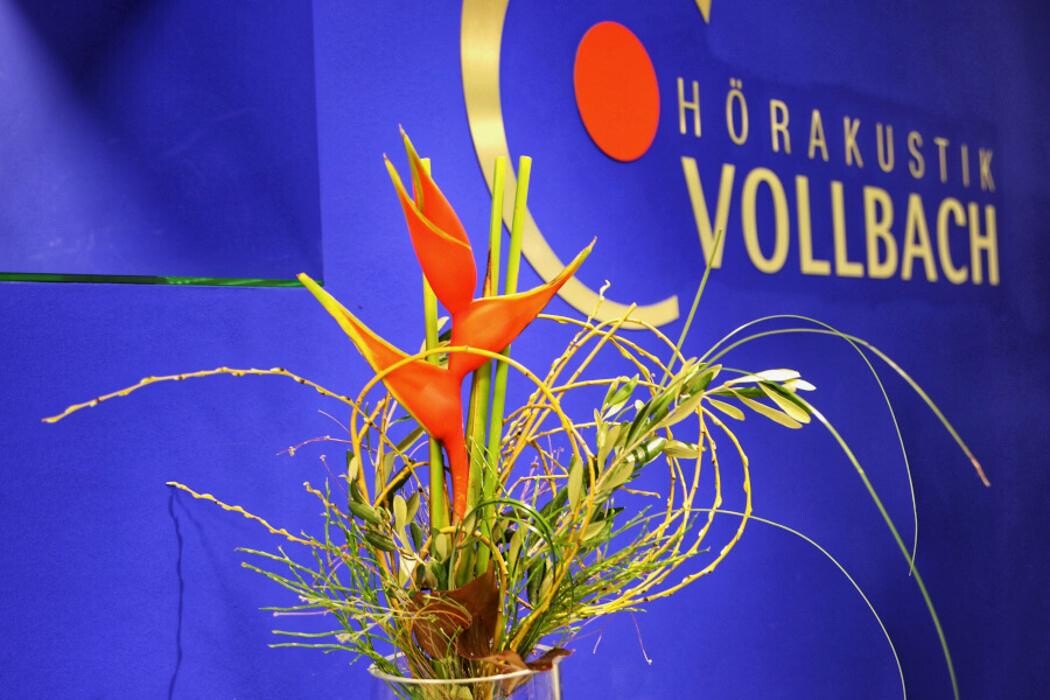 Bilder Hörakustik Vollbach