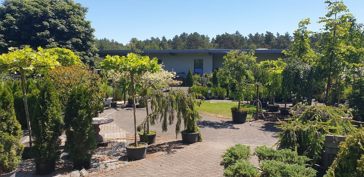 Bilder Senner Gartencenter & Senner Gartenbau