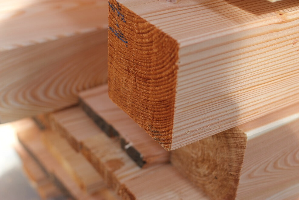 Bilder Sägewerk Zehelein GmbH