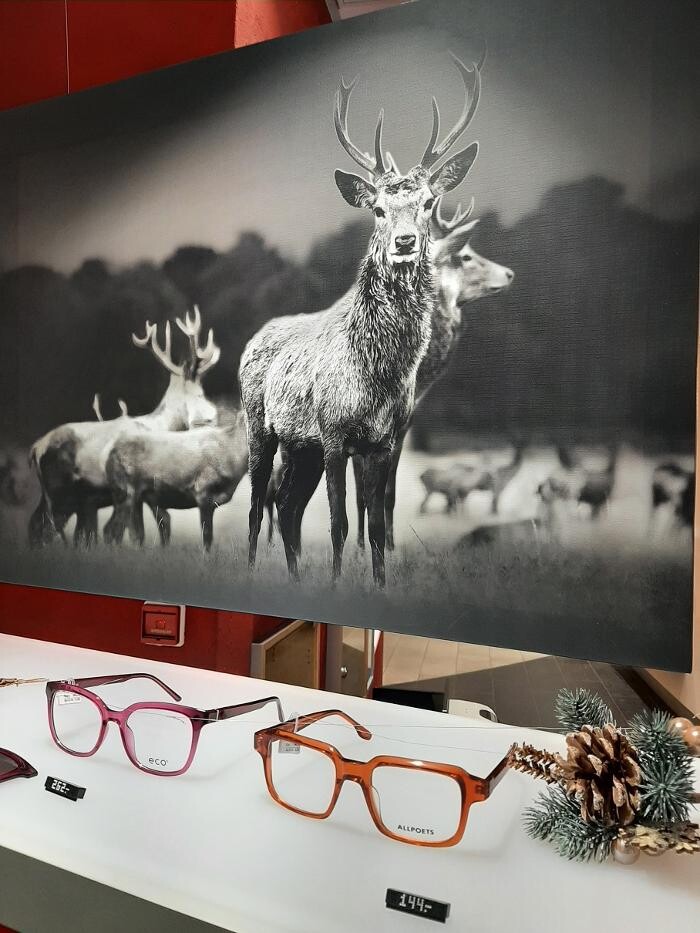 Bilder Optik Essmann