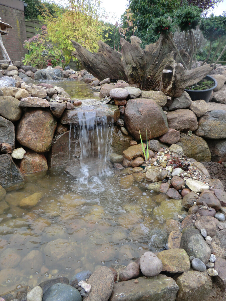 Bilder Garten- und Landschaftsbau Meier