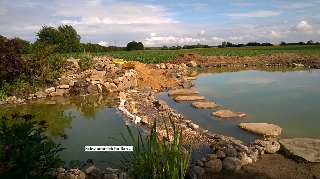 Bilder Garten- und Landschaftsbau Meier