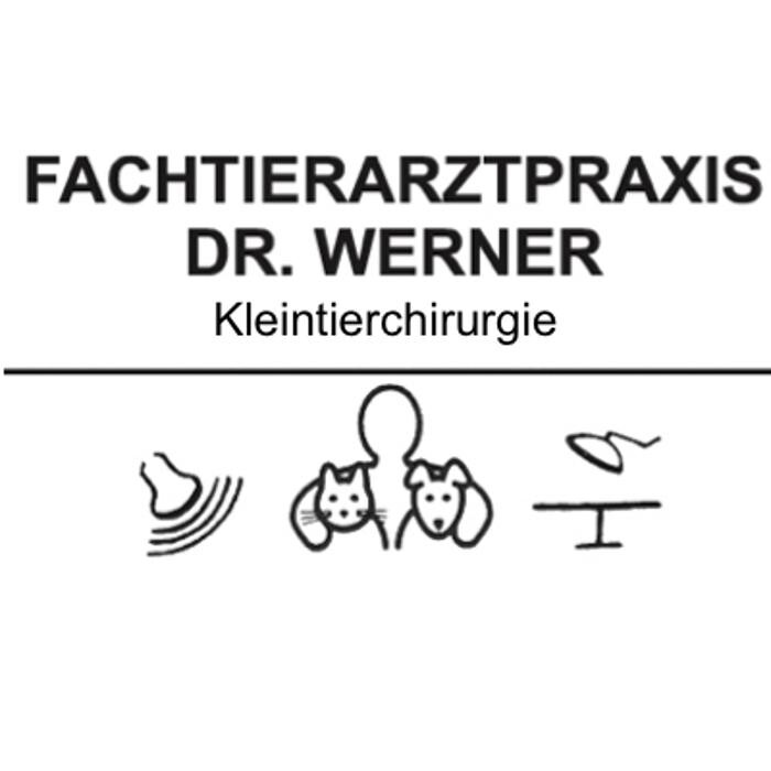 Bilder Dr. Hinnerk Werner Kleintierpraxis