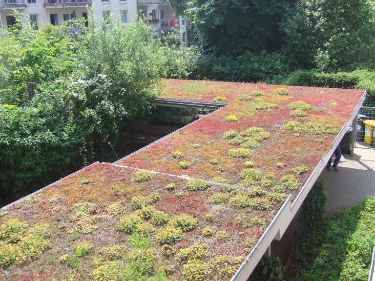 Bilder Schäffer GmbH Dachdecker-Fachbetrieb