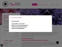 Website Screenshot Praxis für Zahnheilkunde ZA T. Bast