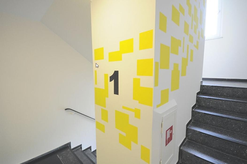 Bilder Stegemann Malereibetrieb GmbH