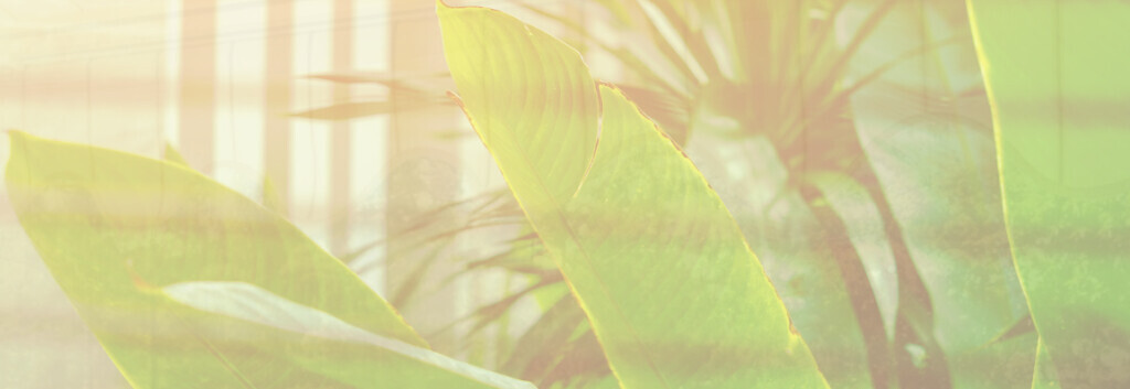 Bilder fölsch-sonnenschutz