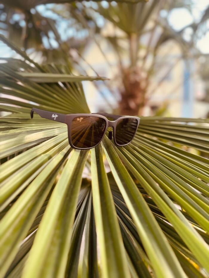 Bilder Optik Rausch
