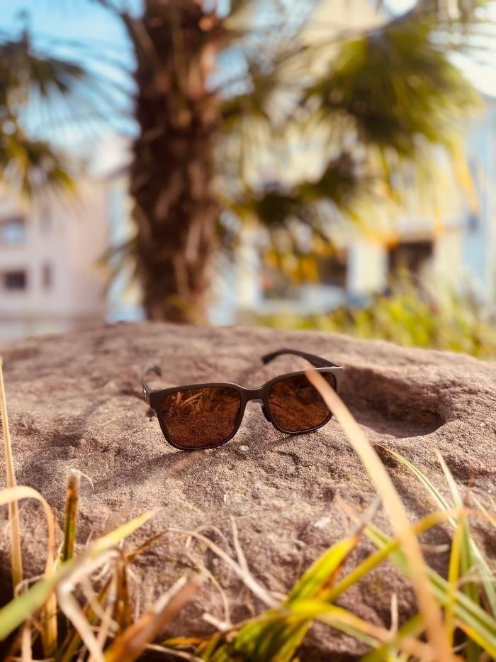 Bilder Optik Rausch