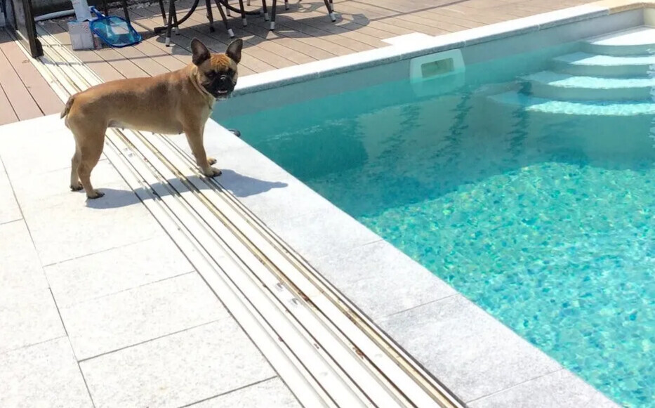 Bilder Schwimmbadtechnik und Bauschlosserei Ahnert