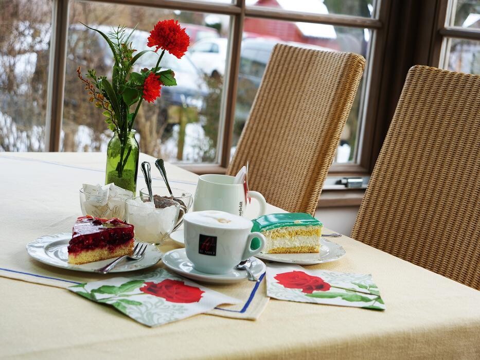 Bilder Hotel Lenauhof