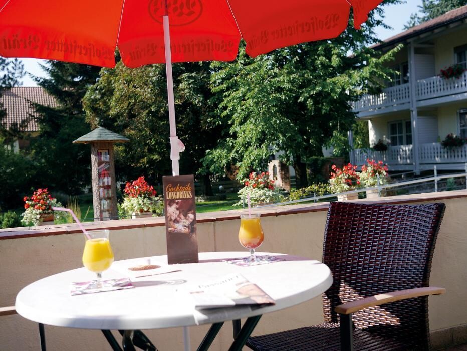 Bilder Hotel Lenauhof
