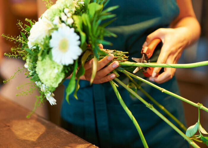 Bilder Blatt & Blüte Floristengeschäft