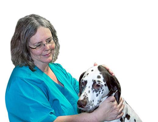 Bilder Kleintierpraxis Dr. Ursula Leyer