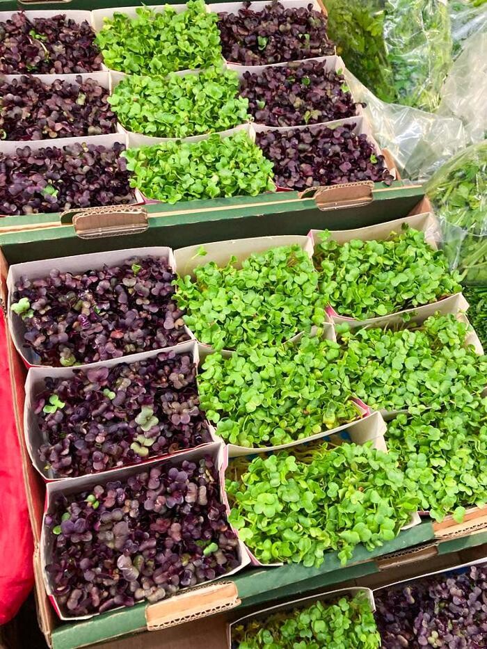 Bilder EDEKA Foodservice Waldershof