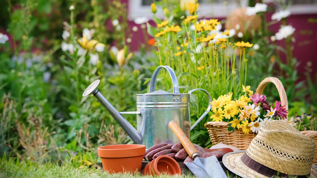 Bilder Rechtsanwalt Thomas Reiser