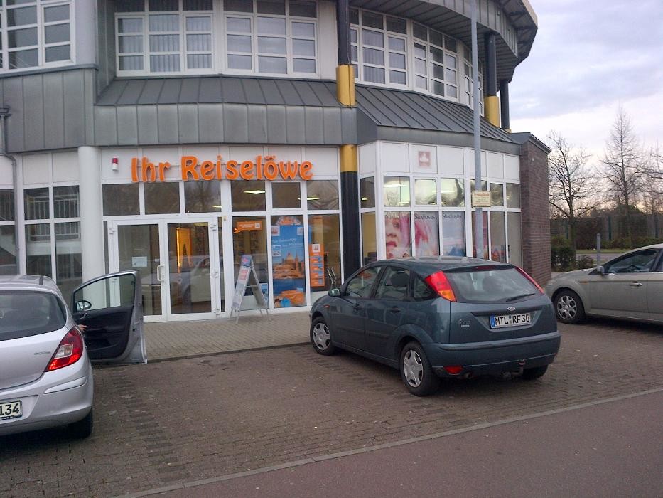 Bilder Ihr Reiselöwe