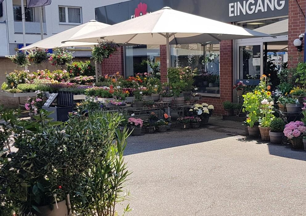 Bilder Floria Blumen