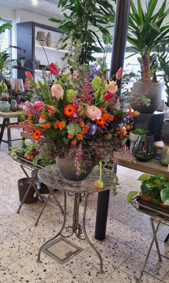 Bilder Floria Blumen