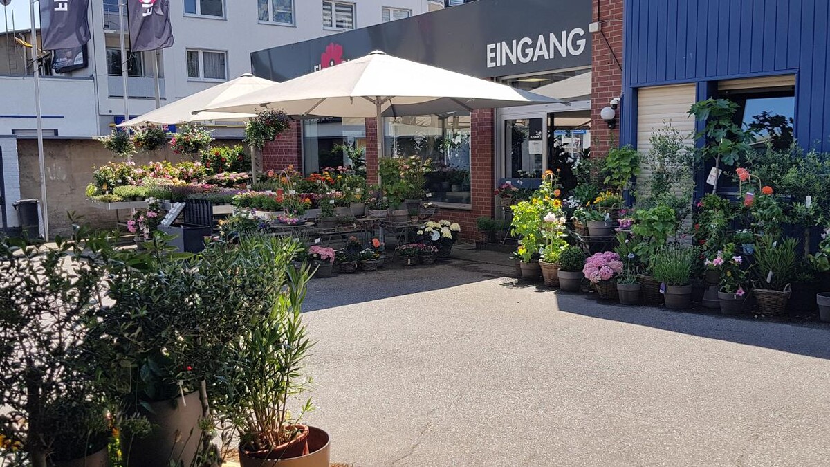 Bilder Floria Blumen