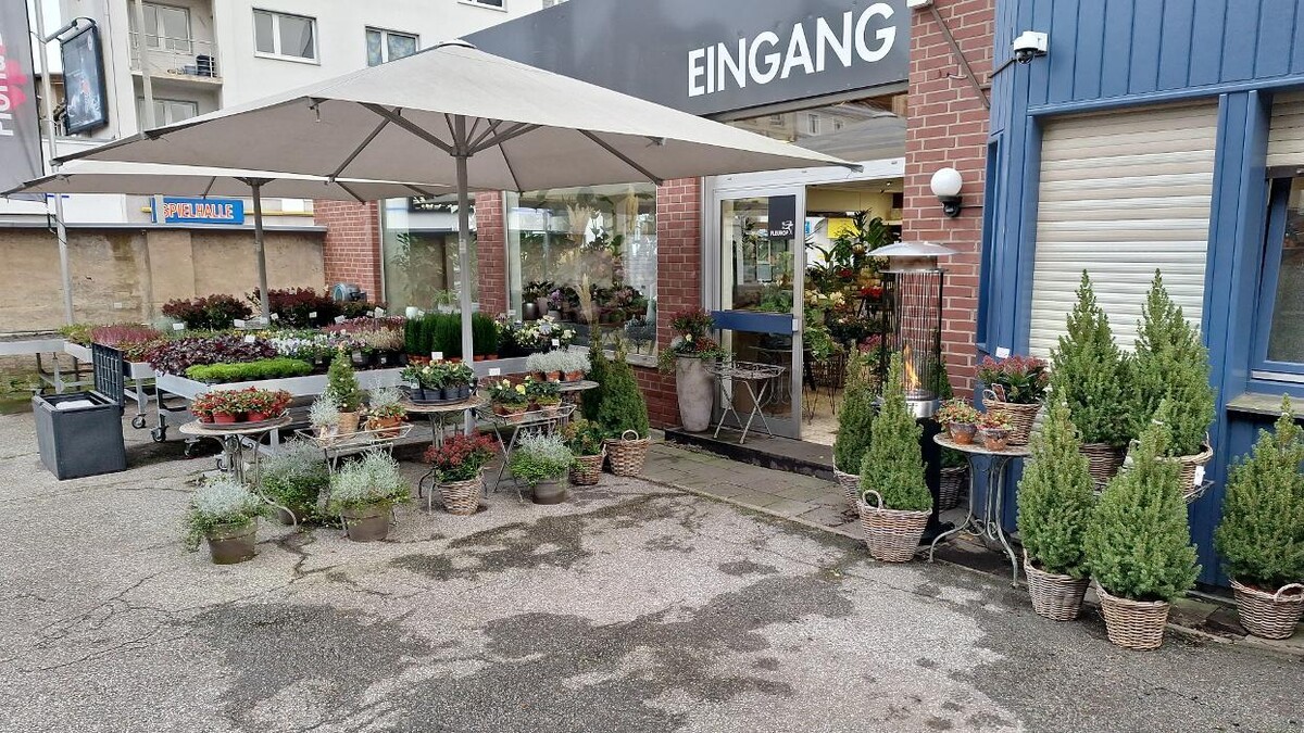 Bilder Floria Blumen