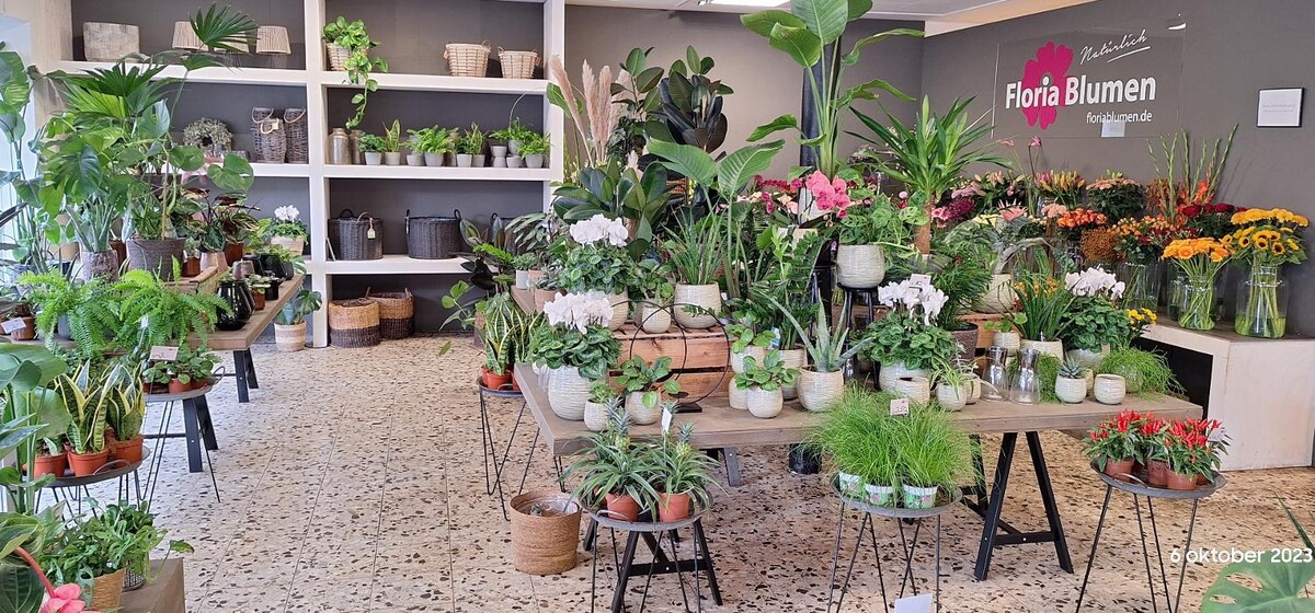 Bilder Floria Blumen