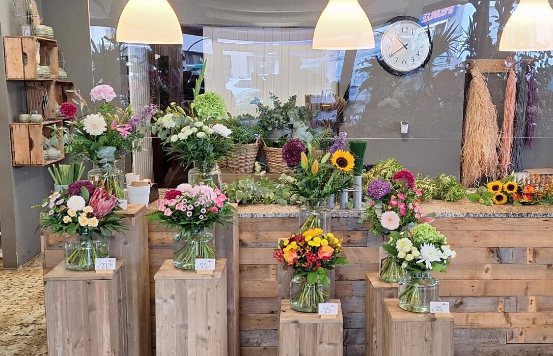 Bilder Floria Blumen