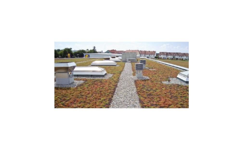 Bilder Aurnhammer Bedachungen GmbH