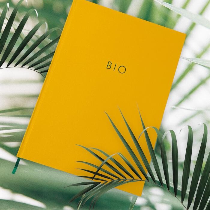 Bilder KREPAP BUCHBINDEREI Marco Pfeiffer