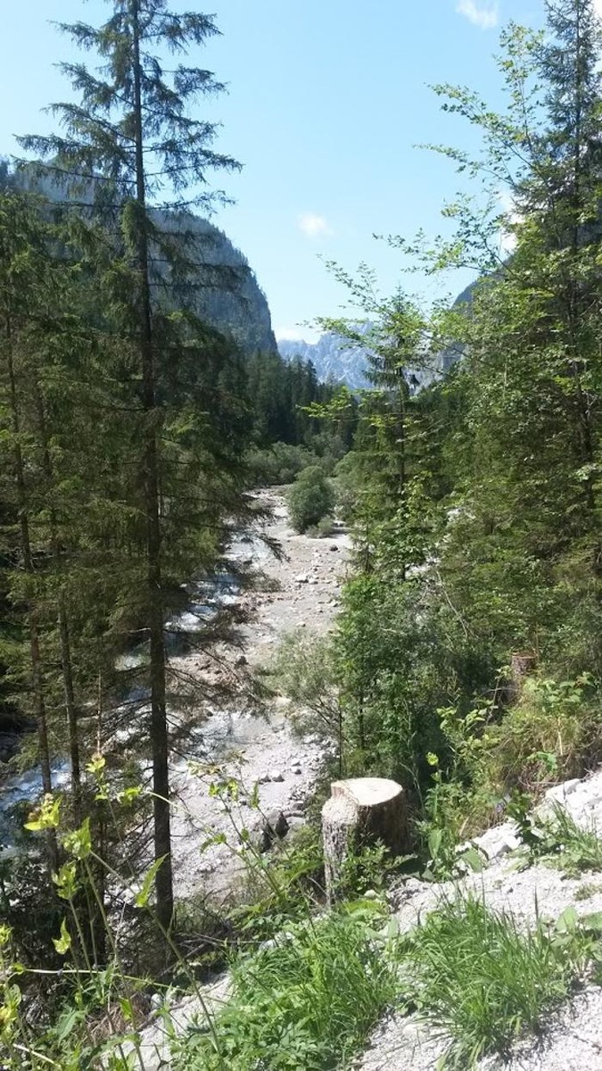 Bilder Ferienwohnungen Katharina