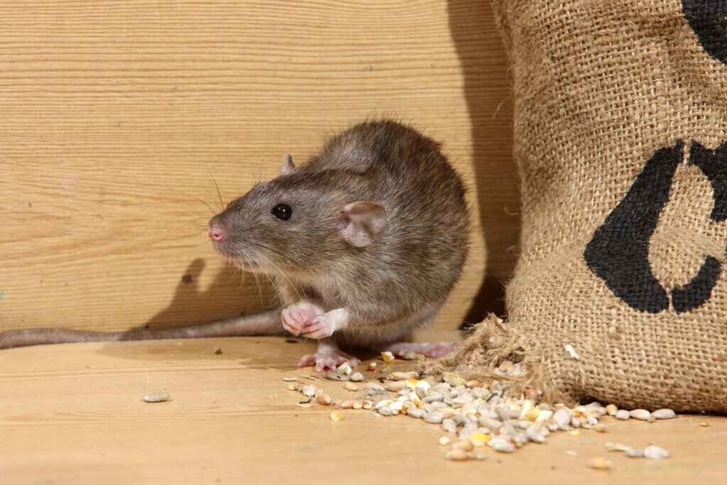 Bilder VERMIN Bielefeld Kopietz GmbH & Co. KG