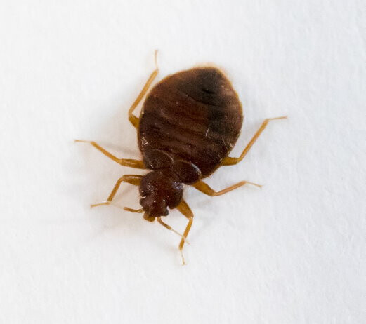 Bilder VERMIN Bielefeld Kopietz GmbH & Co. KG