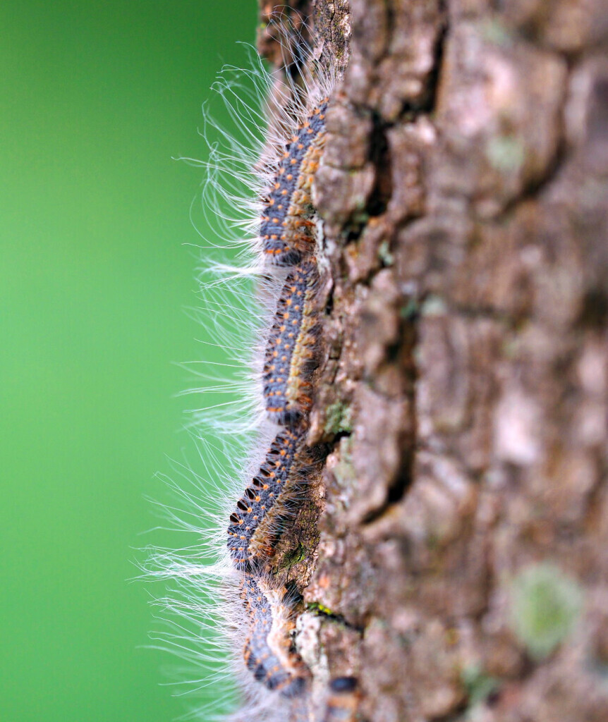 Bilder VERMIN Bielefeld Kopietz GmbH & Co. KG
