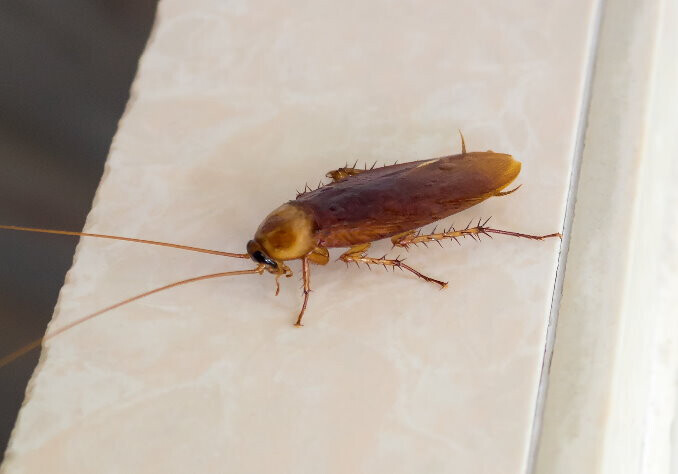 Bilder VERMIN Bielefeld Kopietz GmbH & Co. KG