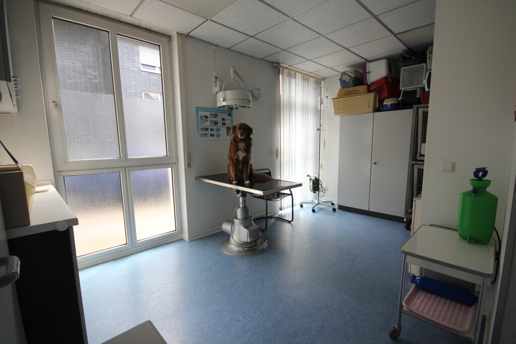 Bilder Kleintierpraxis Eckhard Bürgener Tierarzt