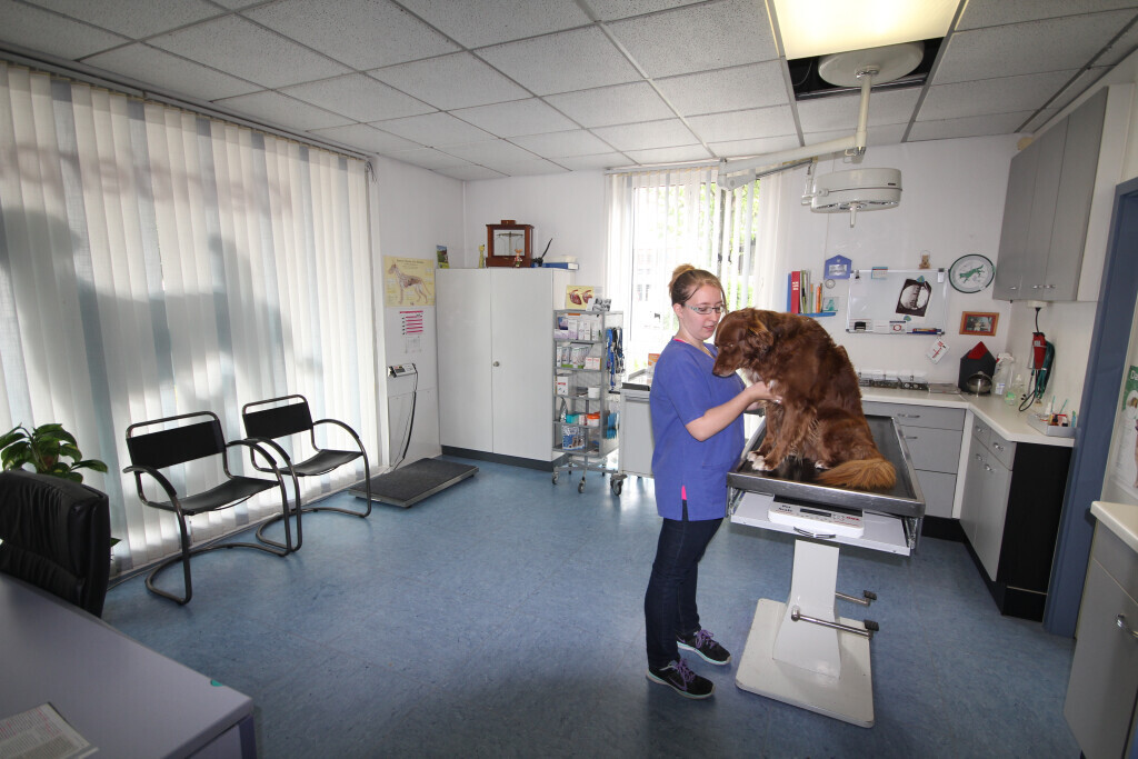 Bilder Kleintierpraxis Eckhard Bürgener Tierarzt