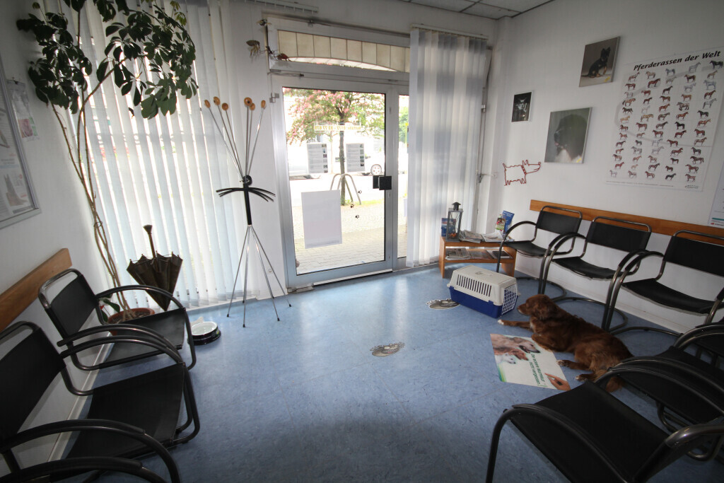 Bilder Kleintierpraxis Eckhard Bürgener Tierarzt