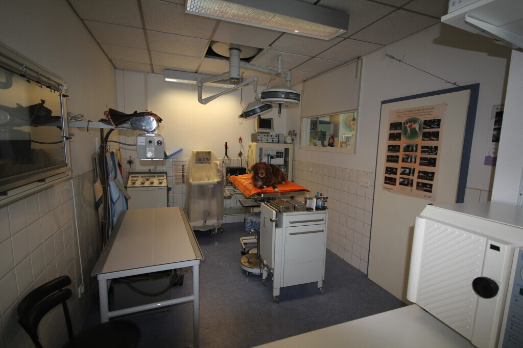 Bilder Kleintierpraxis Eckhard Bürgener Tierarzt