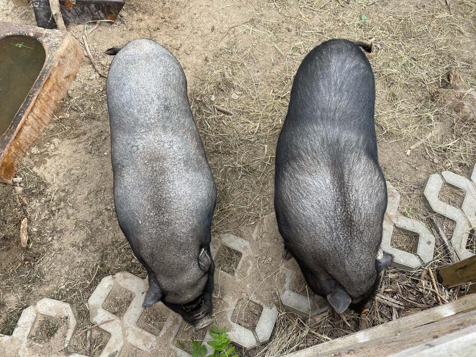 Bilder Hotel Lugsteinhof