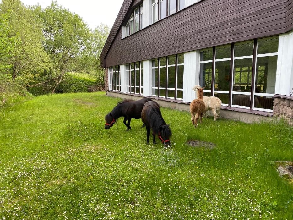 Bilder Hotel Lugsteinhof