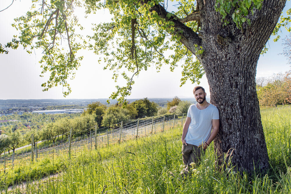 Bilder Weingut Röschard