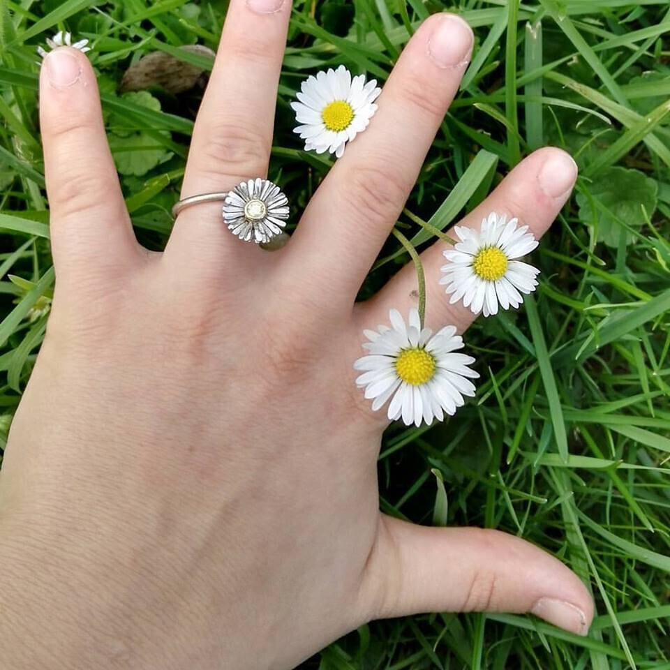 Bilder Juwelier Ihringer