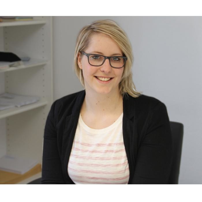 Bilder Liesegang Umzüge