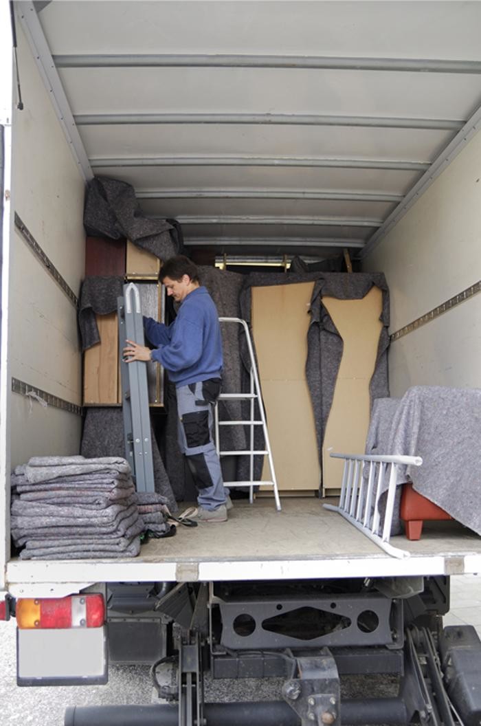 Bilder Liesegang Umzüge